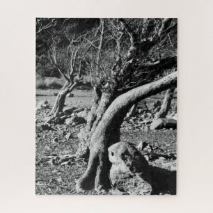 PUZZLE ARBRES NOIRS ET BLANCS