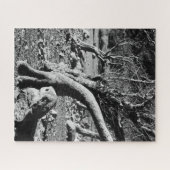 PUZZLE ARBRES NOIRS ET BLANCS (Horizontal)