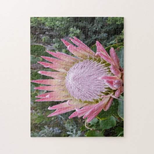 Puzzle Arbuste à sucre (Vertical)