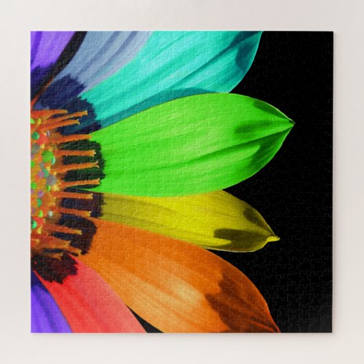 Puzzle arc-en-ciel (Horizontal)