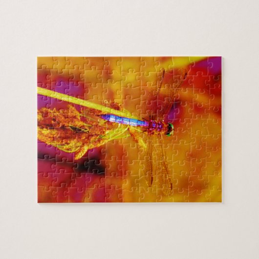 Puzzle Arc-en-ciel libellule sur ambre et fuschie (Horizontal)