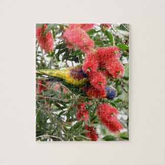 PUZZLE ARC-EN-CIEL LORIKEET QUEENSLAND RURAL AUSTRALIE