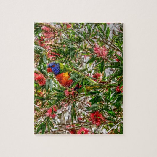 PUZZLE ARC-EN-CIEL LORIKEET QUEENSLAND RURAL AUSTRALIE (Vertical)