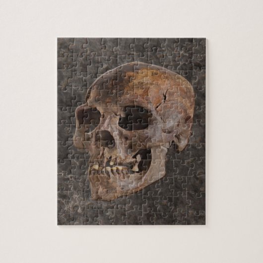 Puzzle Archéologie II - Crâne sur Arrière - plan à effet  (Vertical)