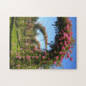 Puzzle Arches roses - Elizabeth Park Garden Hartford CT (Horizontal)