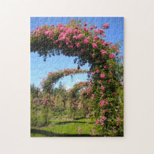 Puzzle Arches roses - Elizabeth Park Garden Hartford CT
