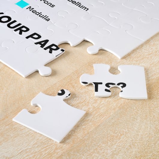 Puzzle Are You Greater Than The Sum Of Your Parts ? Brain (Côté)