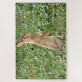 Puzzle Arisdale Arts : Lapin sauvage debout (Vertical)