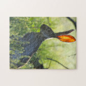 Puzzle Arizona Jack Rabbit. (Horizontal)