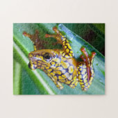 Puzzle Arlequin Poison Dart Frog (Horizontal)