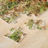 Puzzle Armadillo (Côté)