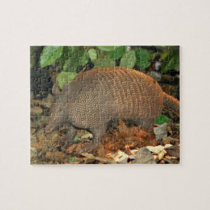 Puzzle Armadillo de Texas