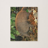 Puzzle Armadillo du Texas (Vertical)