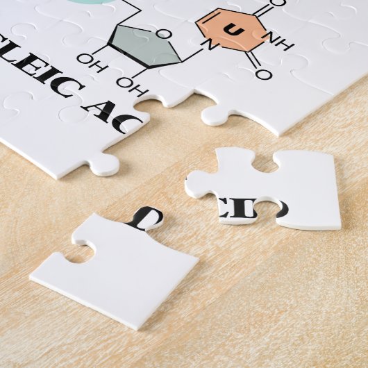 Puzzle ARN l'autre acide nucléique (constitution (Côté)