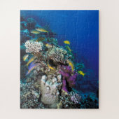 Puzzle Around Small Coral (Vertical)