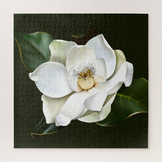Puzzle Arrière - plan blanc Magnolia Closeup Vert (Vertical)