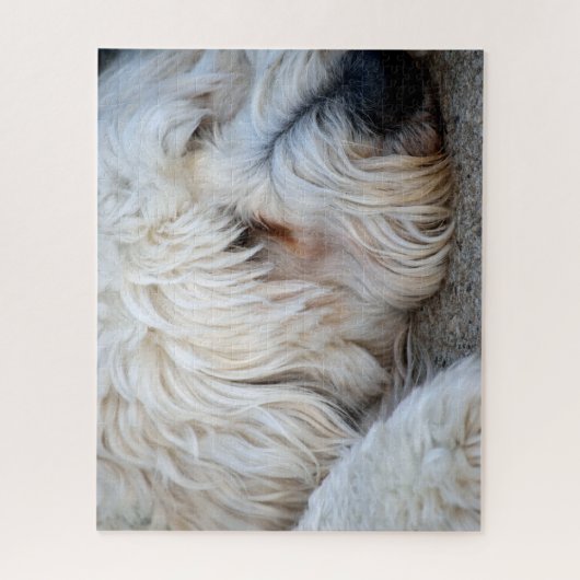 Puzzle Arrière - plan Goldendoodle (Vertical)