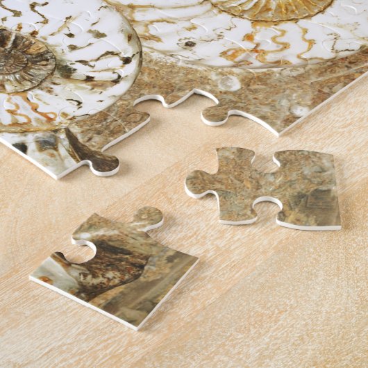 Puzzle Arrière - plan préhistorique avec les coquilles (Côté)