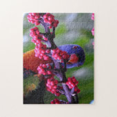 Puzzle Arrivée pour un en-cas - Rainbow Lorikeet (Vertical)