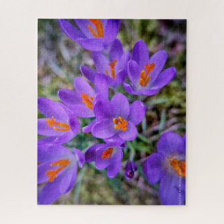 Puzzle Art Crocus