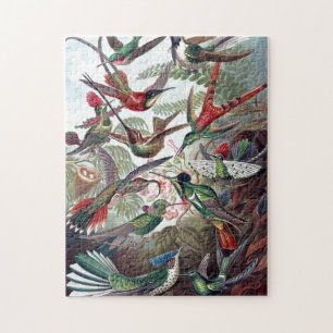Puzzle Art d'illustrer un vieux livre d'oiseaux de brouss