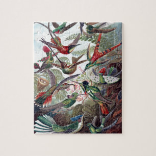 Puzzle Art d'illustrer un vieux livre d'oiseaux de brouss
