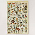 Puzzle Art vintage des champignons de 1909 par Adolphe Mi<br><div class="desc">C'est une numériquement version améliorée des illustrations de l'antique Adolphe Millot pour Le Larousse pour tous.</div>