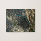 Puzzle Aruba Whiptail Lizard Photographie d'animaux tropi (Horizontal)