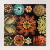 Puzzle Ascidiae, Seescheiden Marine Life par Ernst Haecke (Horizontal)