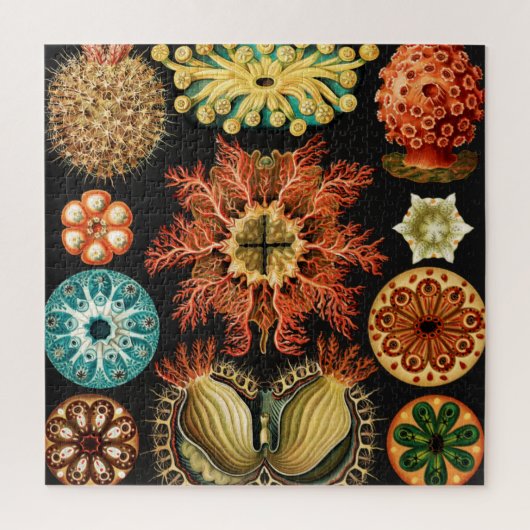Puzzle Ascidiae, Seescheiden Marine Life par Ernst Haecke (Vertical)