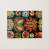 Puzzle Ascidiae, Seescheiden Marine Life par Ernst Haecke (Horizontal)