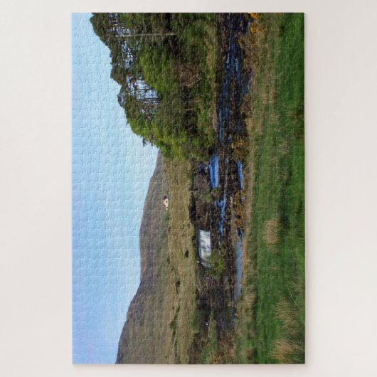 Puzzle Ashleigh Falls, Co. Mayo, Irlande. (Vertical)