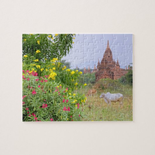 Puzzle Asie, Myanmar (Birmanie), Bagan (Pagan). Vaches (Horizontal)