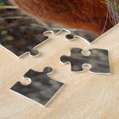 Puzzle Assateague Pinto Mare Ms Macky (Côté)