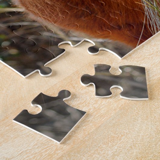 Puzzle Assateague Pinto Mare Ms Macky (Côté)
