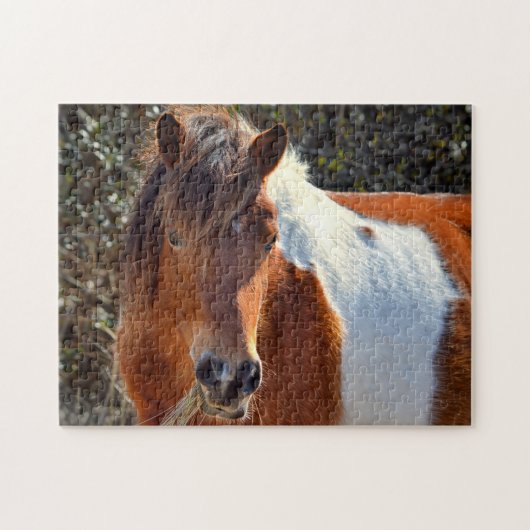 Puzzle Assateague Pinto Mare Ms Macky (Horizontal)