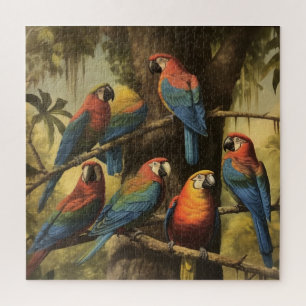 Puzzle Assemblée de aras dans la canopée tropicale ancien