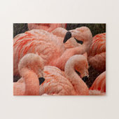 Puzzle assez rose d'impression de flamant (Horizontal)