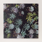 Puzzle Assortiment de petits Plantes succulents (Horizontal)