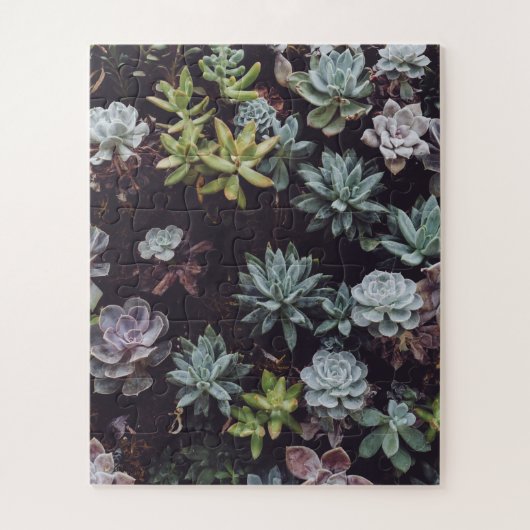 Puzzle Assortiment de petits Plantes succulents (Vertical)