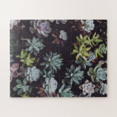 Puzzle Assortiment de petits Plantes succulents (Horizontal)