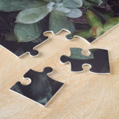 Puzzle Assortiment de petits Plantes succulents (Côté)