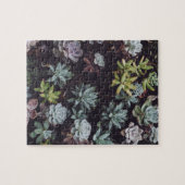 Puzzle Assortiment de petits Plantes succulents (Horizontal)