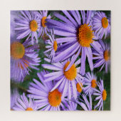 Puzzle Aster tongolensis (Horizontal)