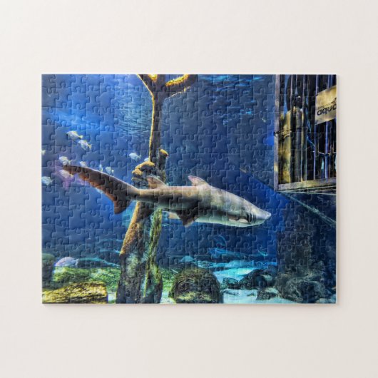 Puzzle Attaque de requin (Horizontal)