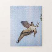Puzzle Atterrissage du balbuzard pêcheur dans le nid (Vertical)