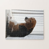 Puzzle attitude de beagle (Horizontal)
