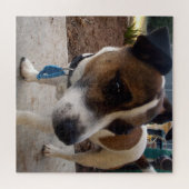 Puzzle Attraction de chien Fox Terrier, (Horizontal)
