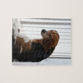 Puzzle attutide de beagle (Horizontal)