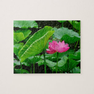 Puzzle Au-Dessus Des Eaux Boueuses (Lit D'Eau Rose)